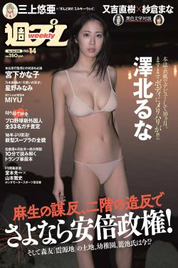 九夜借腹