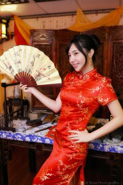 爱的供养小说