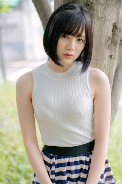 请叫我总监小说