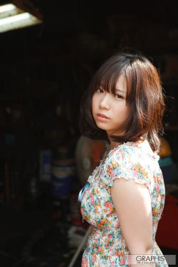 夫妻本是同林鸟