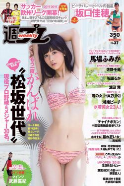 宝石宠物lady